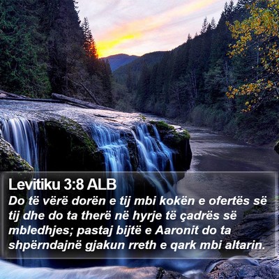 Levitiku 3:8 ALB Bible Verse Image
