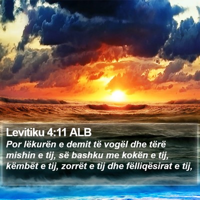 Levitiku 4:11 ALB Bible Verse Image