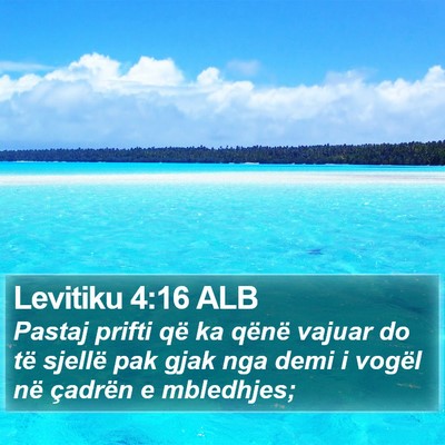 Levitiku 4:16 ALB Bible Verse Image