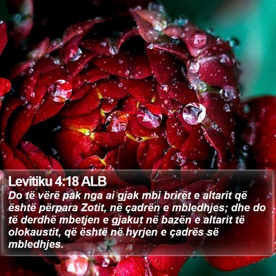 Levitiku 4:18 ALB Bible Verse Image