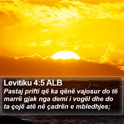 Levitiku 4:5 ALB Bible Verse Image