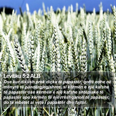 Levitiku 5:2 ALB Bible Verse Image