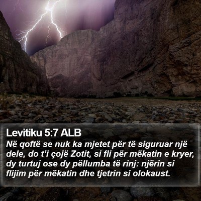 Levitiku 5:7 ALB Bible Verse Image