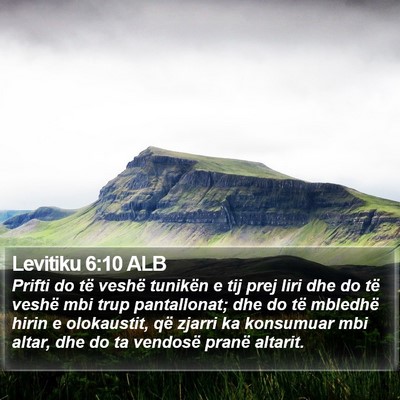Levitiku 6:10 ALB Bible Verse Image