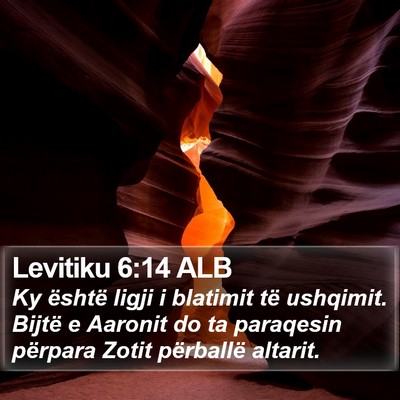 Levitiku 6:14 ALB Bible Verse Image