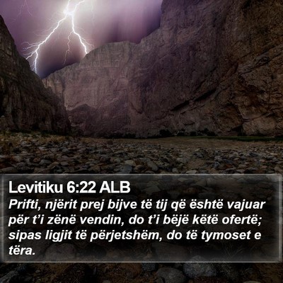 Levitiku 6:22 ALB Bible Verse Image
