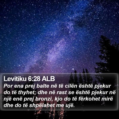 Levitiku 6:28 ALB Bible Verse Image