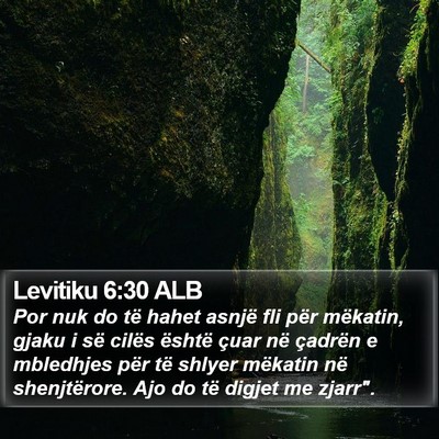 Levitiku 6:30 ALB Bible Verse Image