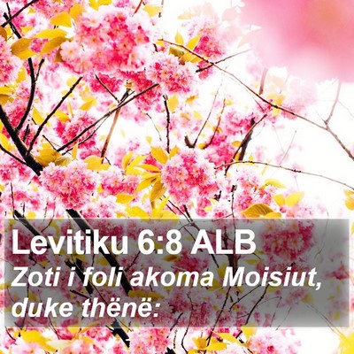 Levitiku 6:8 ALB Bible Verse Image