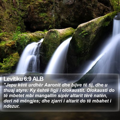 Levitiku 6:9 ALB Bible Verse Image
