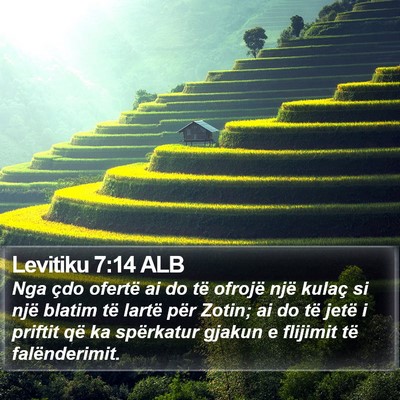 Levitiku 7:14 ALB Bible Verse Image