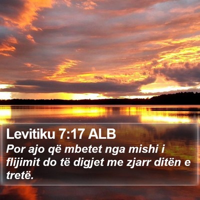 Levitiku 7:17 ALB Bible Verse Image
