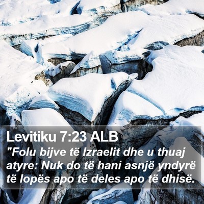 Levitiku 7:23 ALB Bible Verse Image