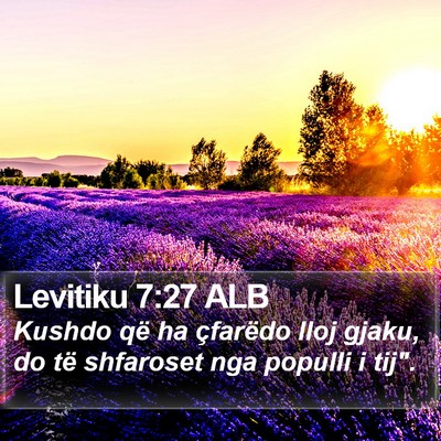 Levitiku 7:27 ALB Bible Verse Image
