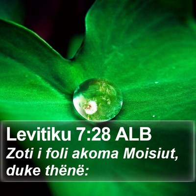 Levitiku 7:28 ALB Bible Verse Image