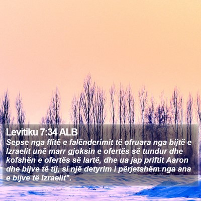 Levitiku 7:34 ALB Bible Verse Image