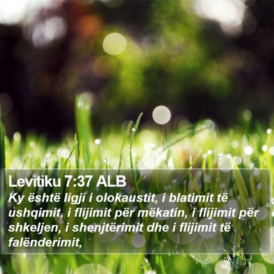 Levitiku 7:37 ALB Bible Verse Image