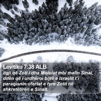 Levitiku 7:38 ALB Bible Verse Image
