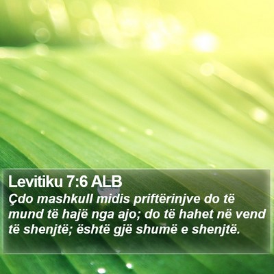 Levitiku 7:6 ALB Bible Verse Image