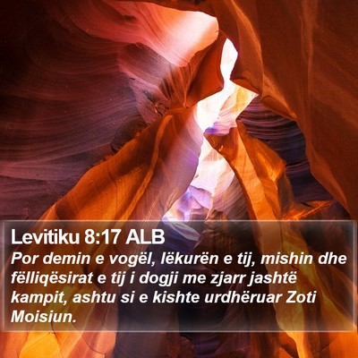 Levitiku 8:17 ALB Bible Verse Image