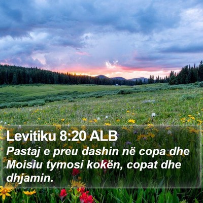 Levitiku 8:20 ALB Bible Verse Image