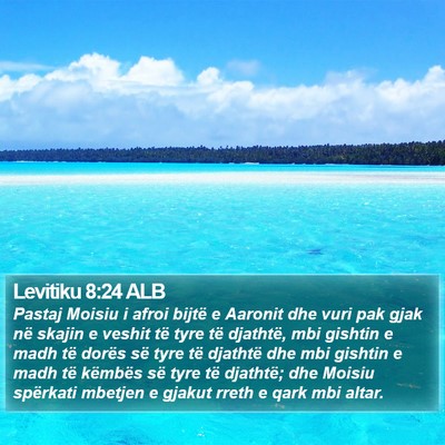 Levitiku 8:24 ALB Bible Verse Image