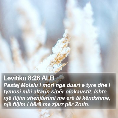 Levitiku 8:28 ALB Bible Verse Image