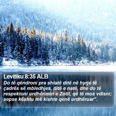 Levitiku 8:35 ALB Bible Verse Image