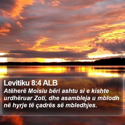 Levitiku 8:4 ALB Bible Verse Image