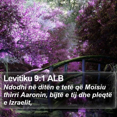 Levitiku 9:1 ALB Bible Verse Image