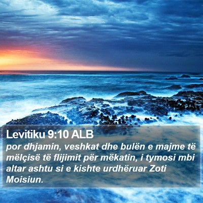 Levitiku 9:10 ALB Bible Verse Image
