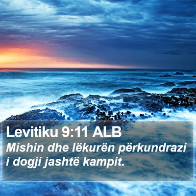 Levitiku 9:11 ALB Bible Verse Image