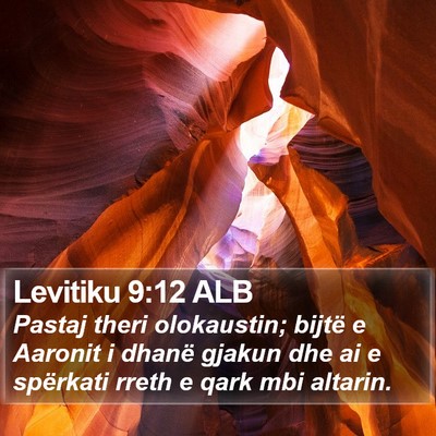 Levitiku 9:12 ALB Bible Verse Image