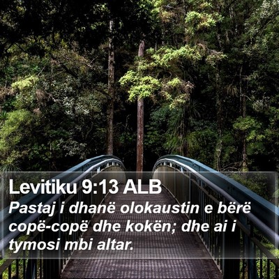 Levitiku 9:13 ALB Bible Verse Image