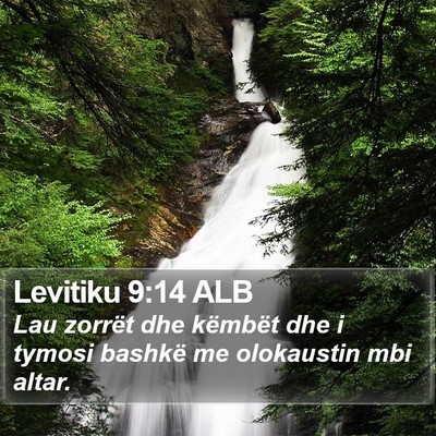 Levitiku 9:14 ALB Bible Verse Image