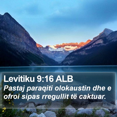 Levitiku 9:16 ALB Bible Verse Image