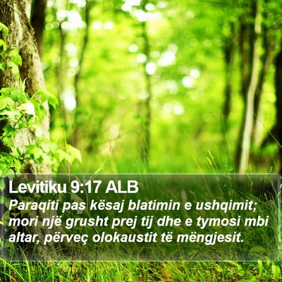 Levitiku 9:17 ALB Bible Verse Image