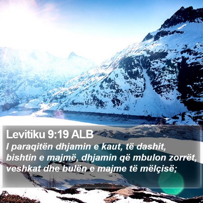 Levitiku 9:19 ALB Bible Verse Image