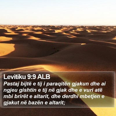 Levitiku 9:9 ALB Bible Verse Image