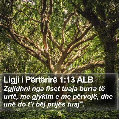Ligji i Përtërirë 1:13 ALB Bible Verse Image