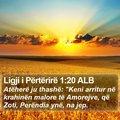 Ligji i Përtërirë 1:20 ALB Bible Verse Image