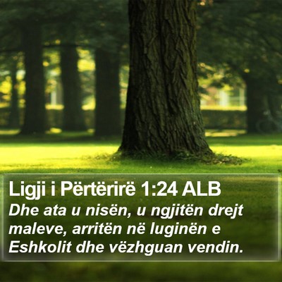 Ligji i Përtërirë 1:24 ALB Bible Verse Image