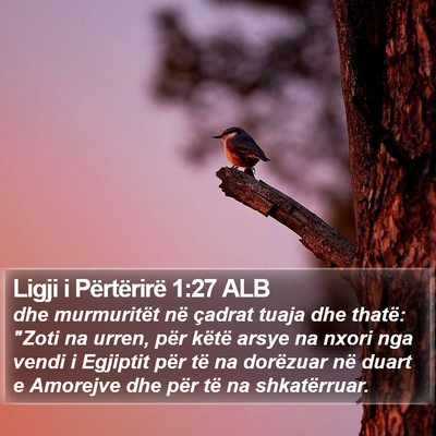 Ligji i Përtërirë 1:27 ALB Bible Verse Image