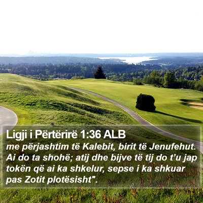 Ligji i Përtërirë 1:36 ALB Bible Verse Image