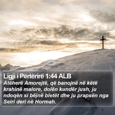 Ligji i Përtërirë 1:44 ALB Bible Verse Image