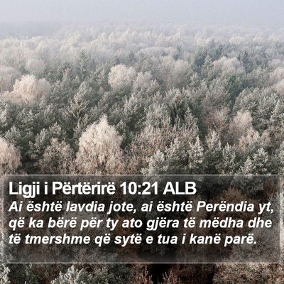 Ligji i Përtërirë 10:21 ALB Bible Verse Image