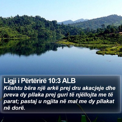 Ligji i Përtërirë 10:3 ALB Bible Verse Image