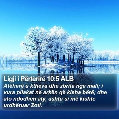 Ligji i Përtërirë 10:5 ALB Bible Verse Image