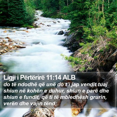Ligji i Përtërirë 11:14 ALB Bible Verse Image