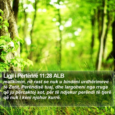 Ligji i Përtërirë 11:28 ALB Bible Verse Image